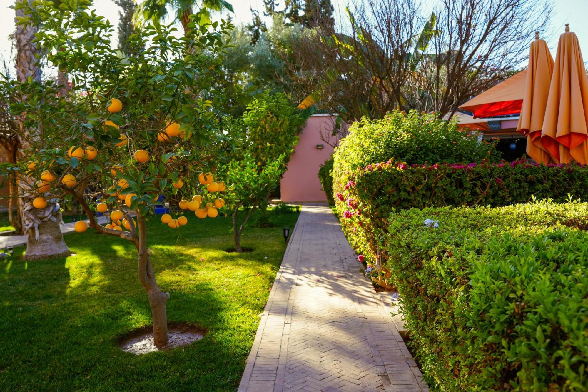 Riad Redwan Douar Caid Layadi Ngoại thất bức ảnh